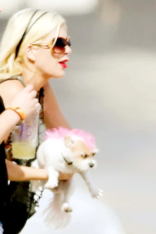 Tori a ieşit la plajă cu câinele şi fata vopsiţi în aceeaşi culoareFoto: guliver/ splashnews/ reuters