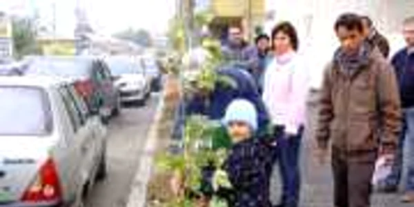 Copii au plantat şi ei copăcei