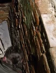 Deschiderea mormântului din Lepoglava, în care se află osemintele lui Ioan Corvin, fiul regelui Matia Corvin, împreună cu cele ale fiului acestuia, Cristofor (© captură video Magyarságkutató Intézet)