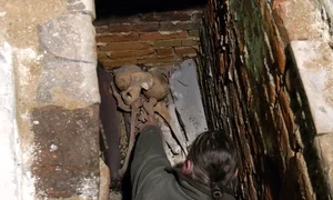 Deschiderea mormântului din Lepoglava, în care se află osemintele lui Ioan Corvin, fiul regelui Matia Corvin, împreună cu cele ale fiului acestuia, Cristofor (© captură video Magyarságkutató Intézet)