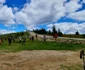 Exploratori de la un club local al Cercetaşilor României pe „Drumul călugărului” - pe Vf lui Roman lângă Mănăstirea Alina - Vâlcea Foto Adevărul
