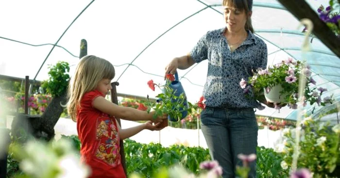 Natalia Calmis ingrijeste florile impreuna cu fiica sa. FOTO Arhiva personala