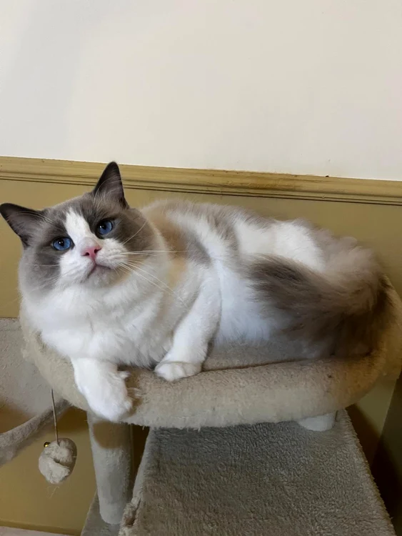 All of Love My Epic jpg