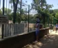 Animalele de la Grădina Zoologică din Craiova au parte de răsfăţ pe timp de caniculă