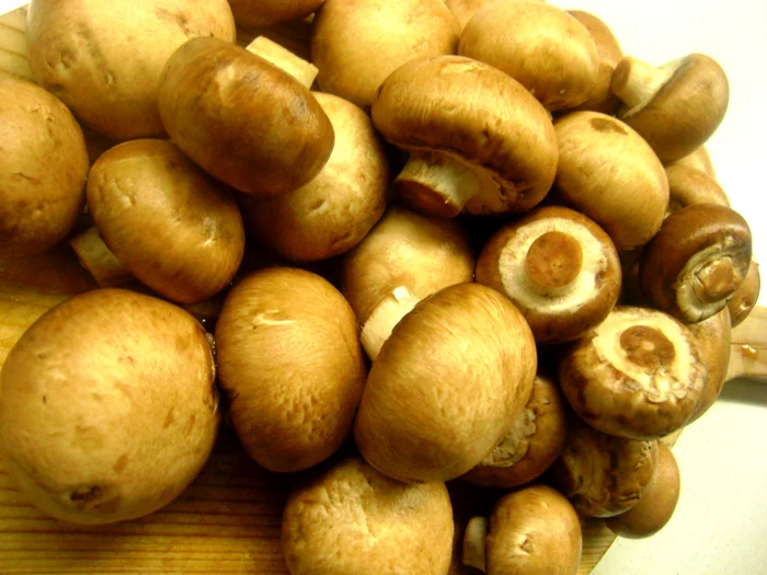 
    Soţia bărbatului a făcut tocăniţă din ciupercile cumpărate  