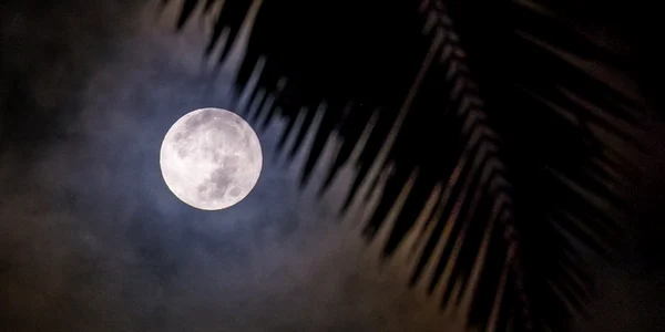 luna plina de craciun FOTO AP
