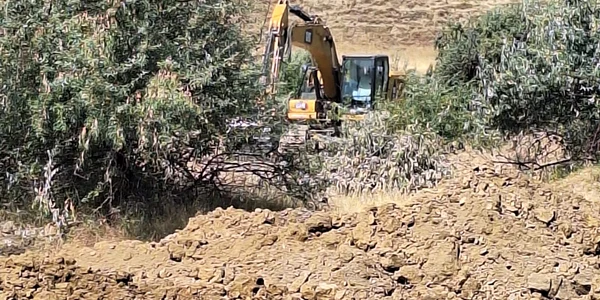 IMG 20230914 WA0032 jpg