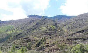 Furtună  apocaliptică  într un sat  din Suceava jpeg