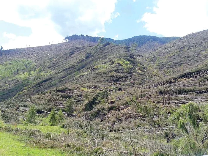 Furtună apocaliptică într-un sat din Suceava