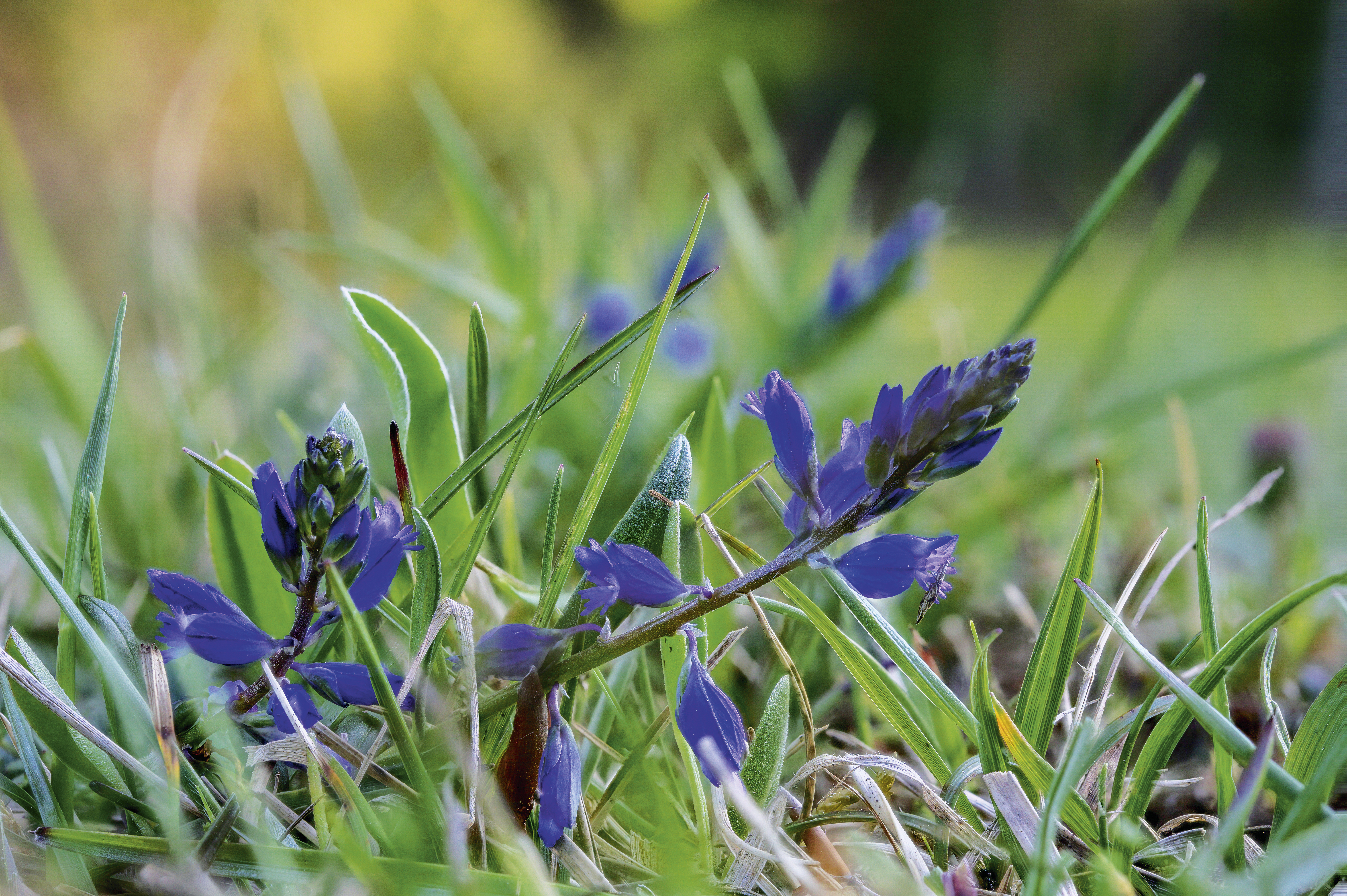 2 shutterstock 1724703562 jpg jpeg