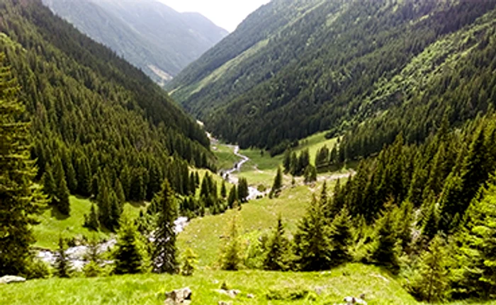 Stâna de Vale, zona de unde provine aerul destinat îmbutelierii