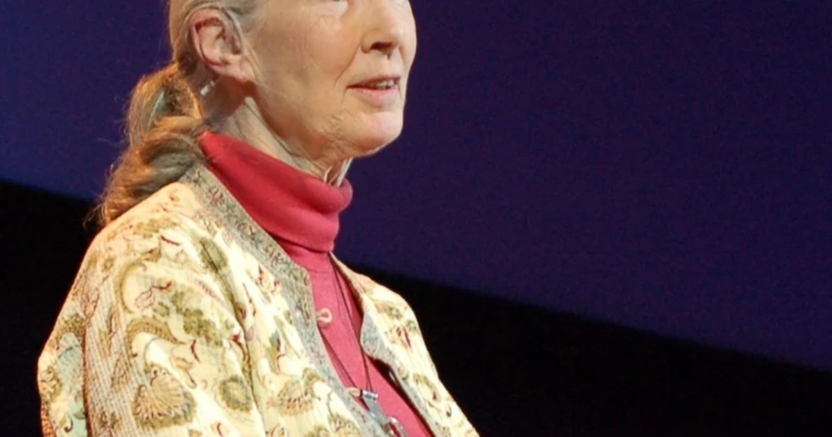 Jane Goodall, primatolog britanic celebru, a murit la 91 de ani