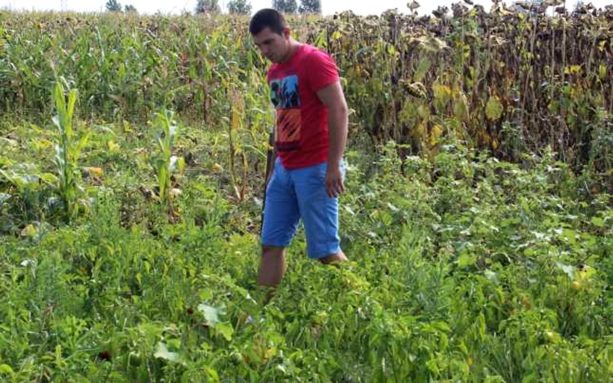 Răzvan Ţiplea a crezut că va da lovitura cu produse ecologice, dar lumea caută în continuare produsele care arată bine - foto: Adrian Caraba