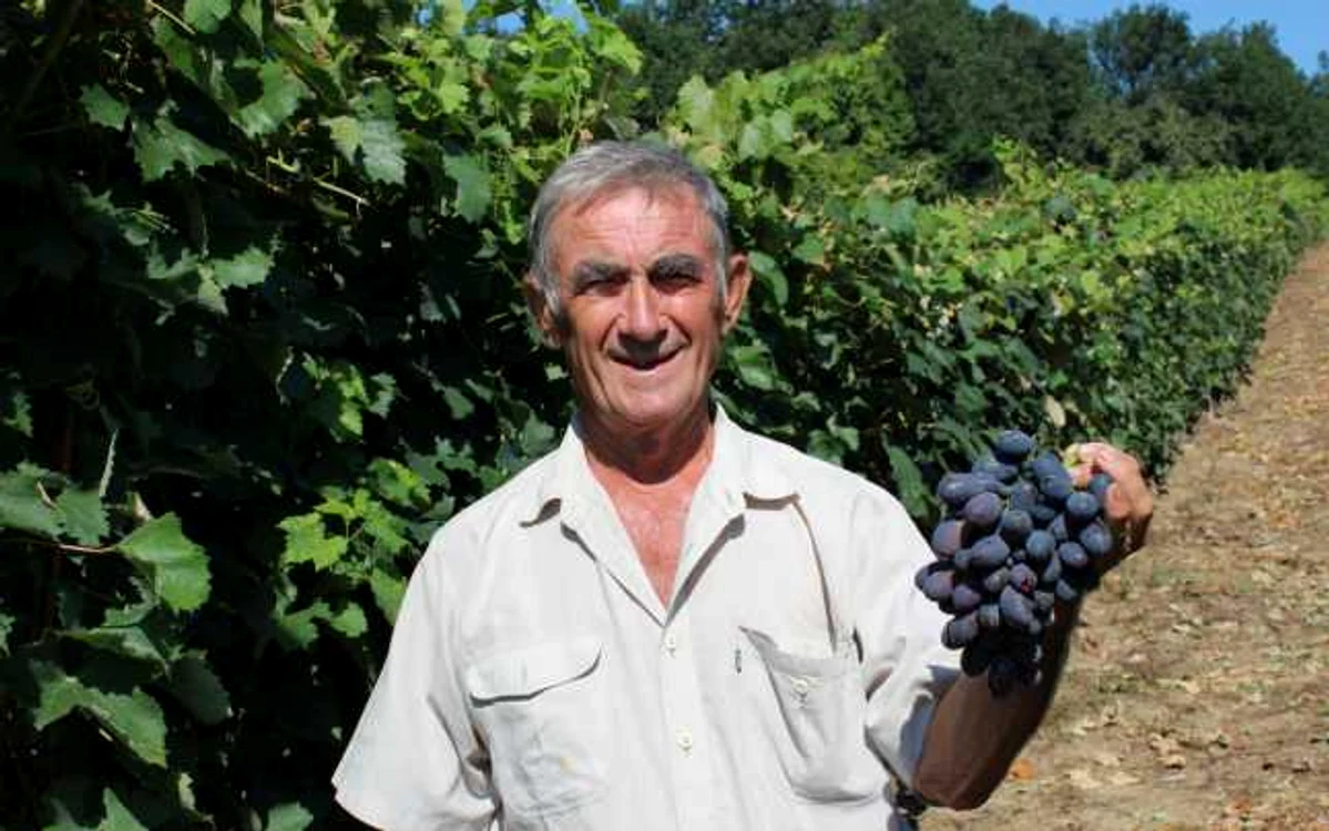 Vasile Cochină se mândreşte cu o producţie record la struguri