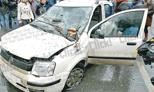 Copacul doborât în Capitală  a blocat circulaţia pe una dintre cele mai importante artere ale oraşului ( Fotografii: Dorin Constanda) jpeg