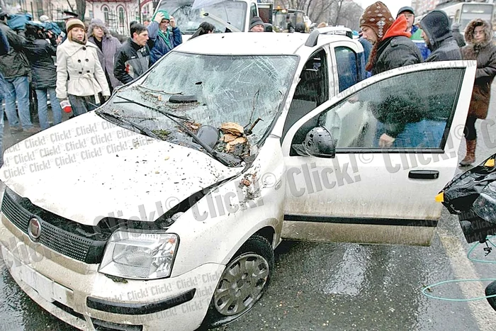 Copacul doborât în Capitală a blocat circulaţia pe una dintre cele mai importante artere ale oraşului ( Fotografii: Dorin Constanda)
