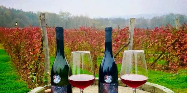 vin de mure