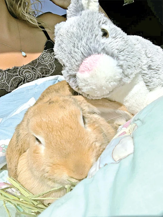 Hai să dormim acum, că ne-am jucat destul!