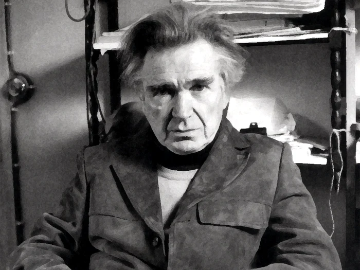 
    La licitaţie au fost vândute toate exemplarele din biblioteca Cioran, în special cărţile de filosofiesursa: zone-critique.com  