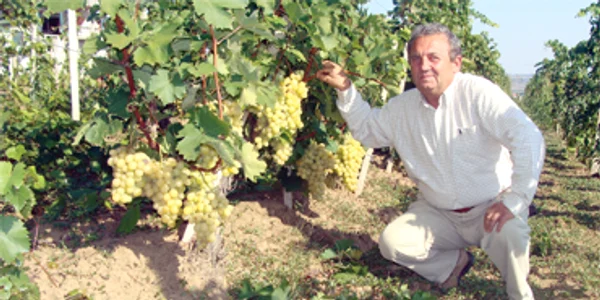 Drăgăşaniul a fost botezat  după crâşmăriţa draga Şani