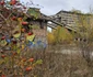Municipiul Lupeni din Hunedoara  Foto Daniel Guță ADEVĂRUL (20) jpg