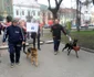 mars satu mare