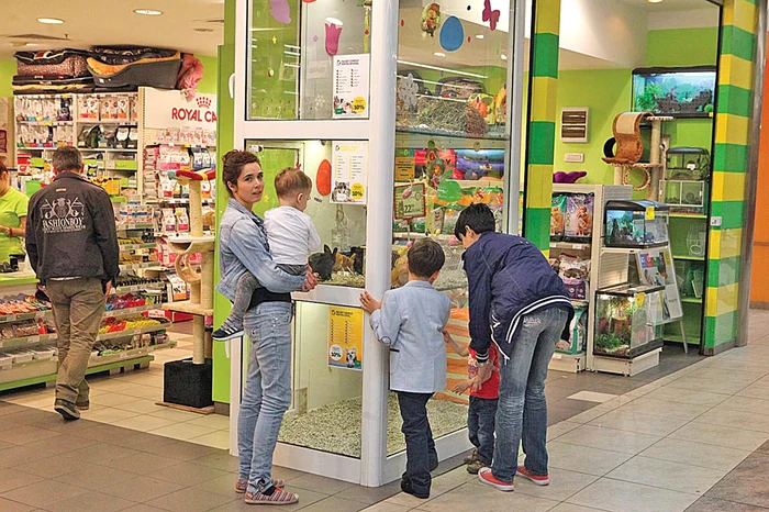 Copiii sunt îndrăgostiţi de iepuraşii de toate rasele şi culorile