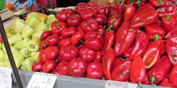 legume cluj