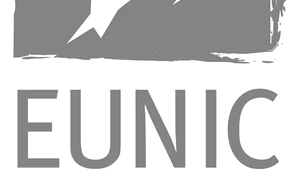 „Privită dinăuntru, Europa apare ca un elefant la microscop“ – interviu cu Corina ŞUTEU, noua preşedintă EUNIC New York jpeg