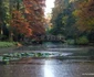 parc simeria dendrologic (123) JPG