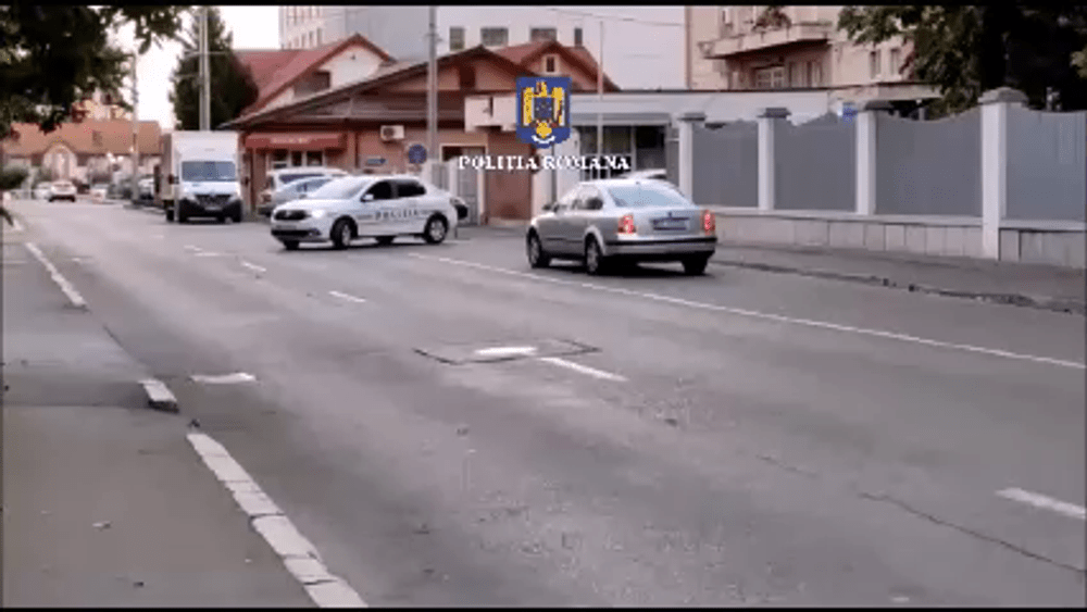 Braconier sfâșiat de o ursoaică prinsă într-un laț. Victima mințise că a fost atacată din senin de fiară 