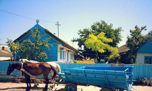 1 59263 original jpg jpeg