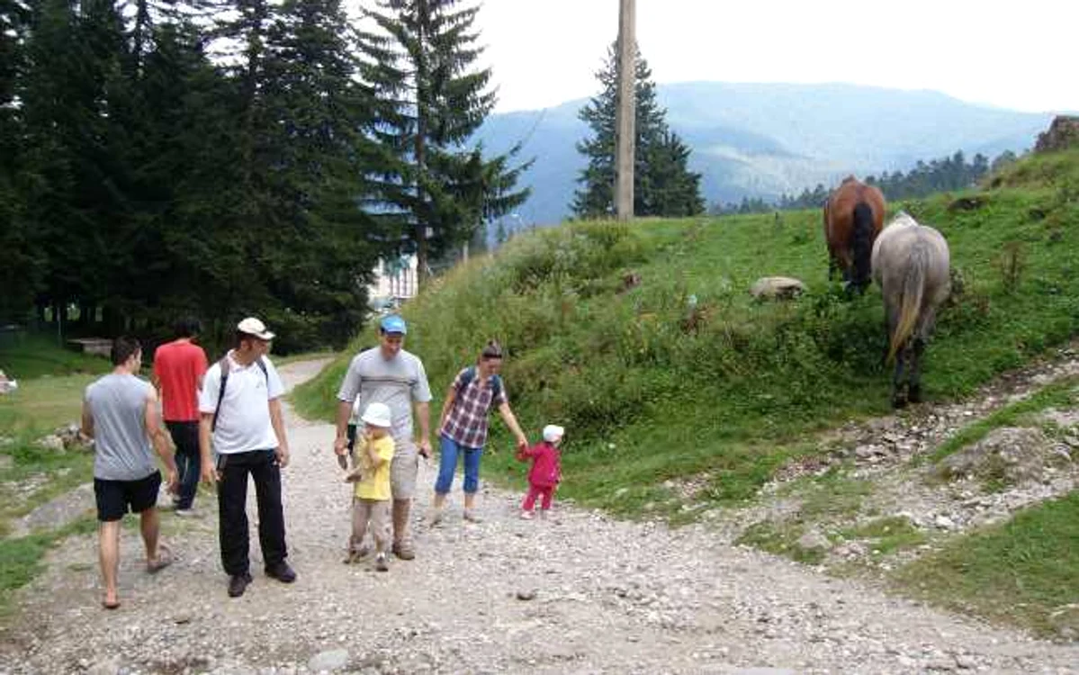 vara busteni foto dana mihai