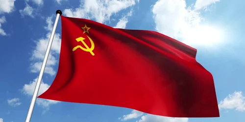 amnezie istorica studiu 