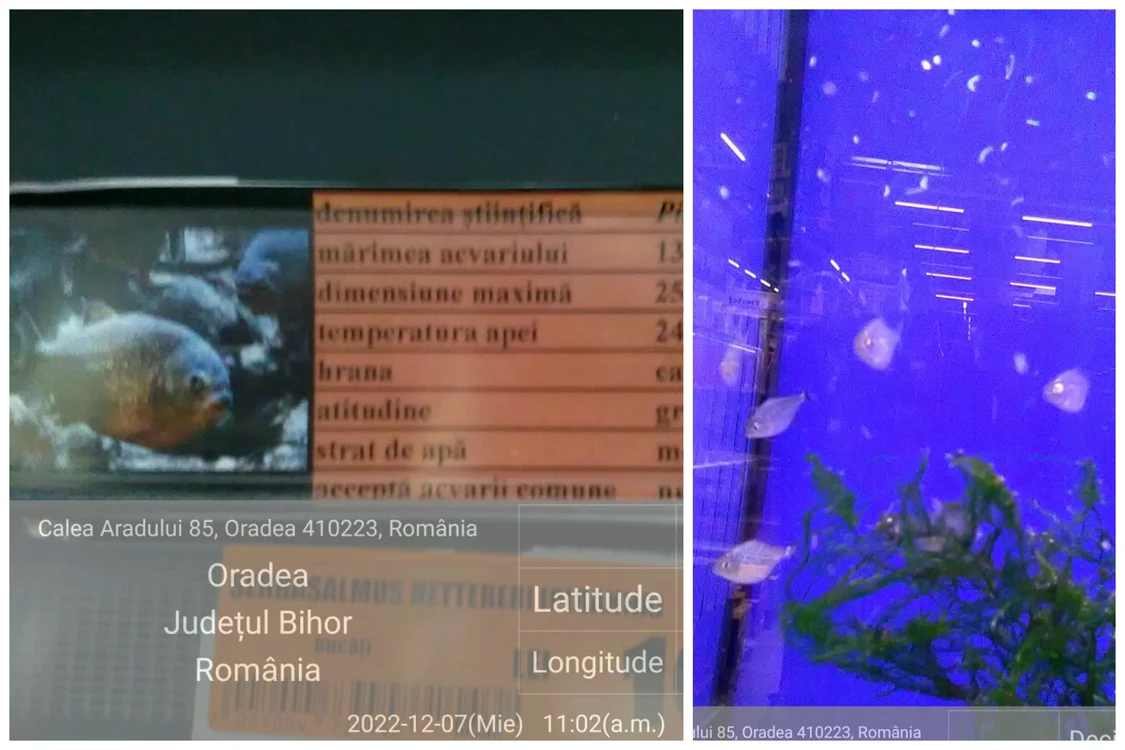 Garda de Mediu a început controale în pet-shopurile din Bihor FOTO: Garda de Mediu Bihor