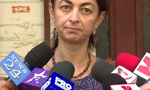camelia roiu png