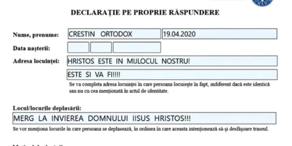 Declaratie pe proprie raspundere Borsa