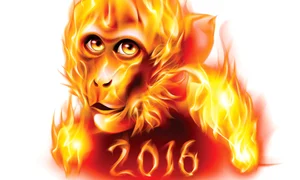 maimuta 1212214515 jpeg