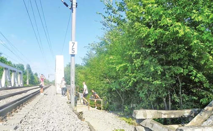 
    Podul din parc este traversat de plimbăreţi în fiecare zi Fotografii: CFR Infrastructură   