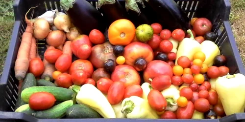Produse eco cu ASAT