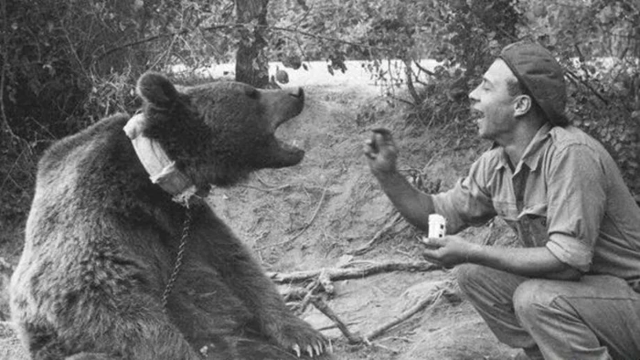 Ursul a fost poreclit „Războinicul” FOTO Institutul Polonez și Muzeul Sikorski