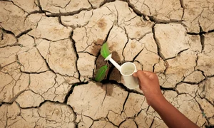 Anxietate climatică jpg