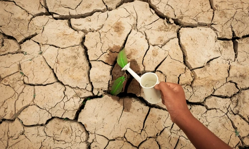 Anxietate climatică  jpg