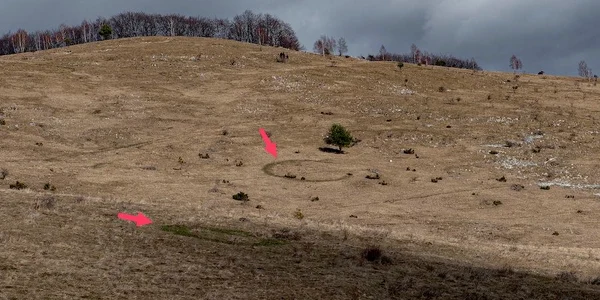 cercuri vrajitoare jpg