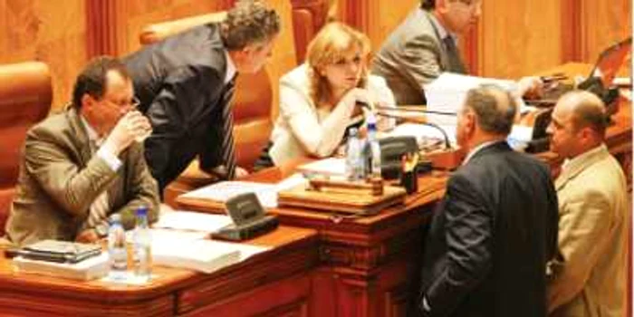 Roberta Anastase s-a ales cu încă o acuzaţie de „vot fraudulos“