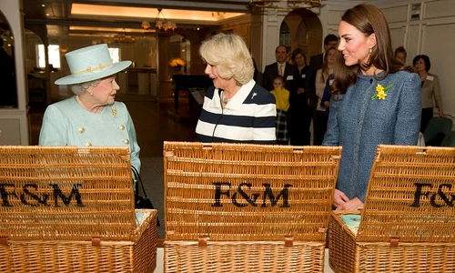 article 2108587 11fc8b86000005dc 373 964x609 jpeg