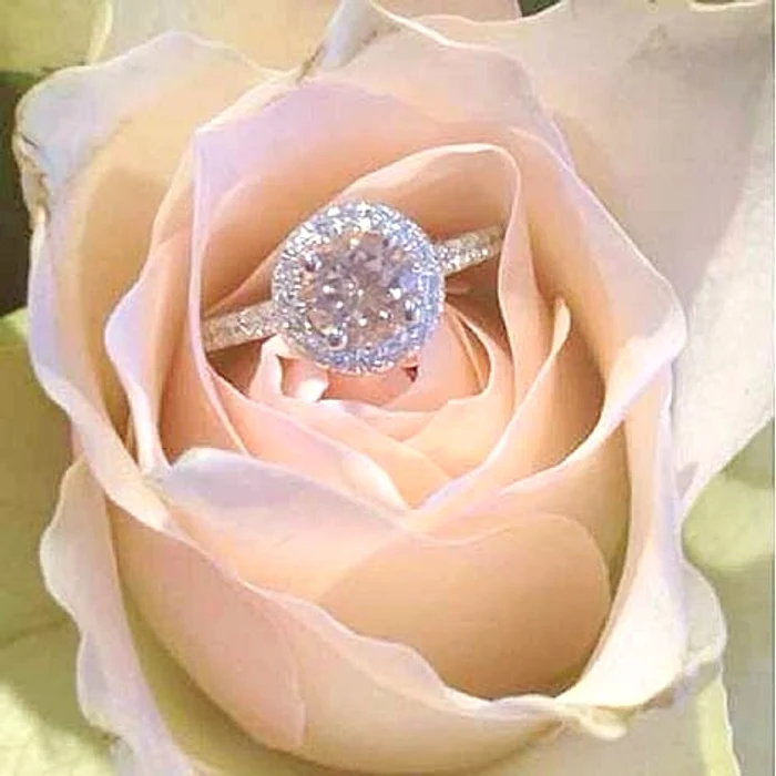 Milionarul îşi momeşte fanele  cu un inel de logodnă, pe care  l-a postat pe Facebook