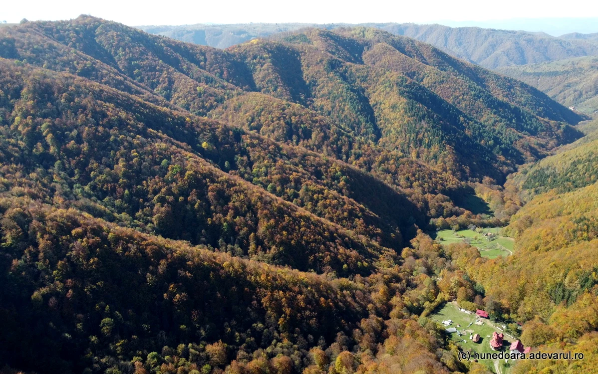 Platoul Vârtoapelor se înalță, acoperit de pădure, deasupra Văii rele. Foto: Daniel Guță