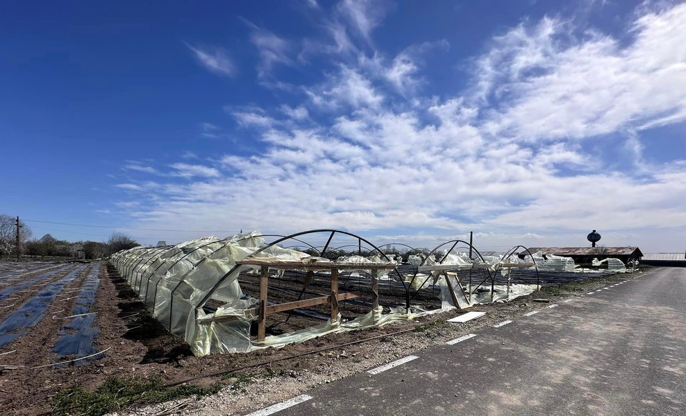 Fermierii bătuți de vânt: „Cu natura nu te pui“. De ce nu-și asigură legumicultorii solariile VIDEO