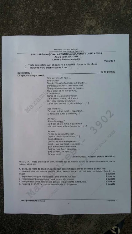 subiecte romana capacitate 1